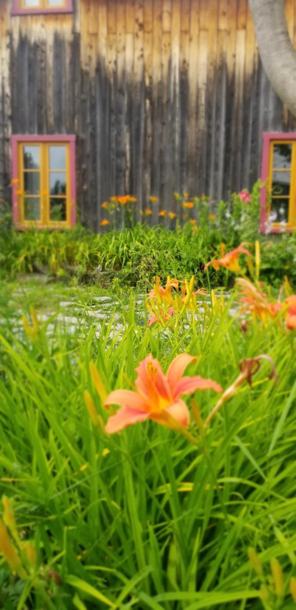 Auberge Le P'Tit Bonheur Saint-Laurent-de-l'ile d'Orleans Εξωτερικό φωτογραφία